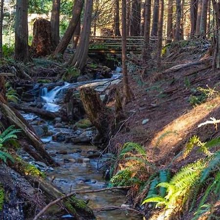 Roberts Creek Forest Haven Hideaway المظهر الخارجي الصورة