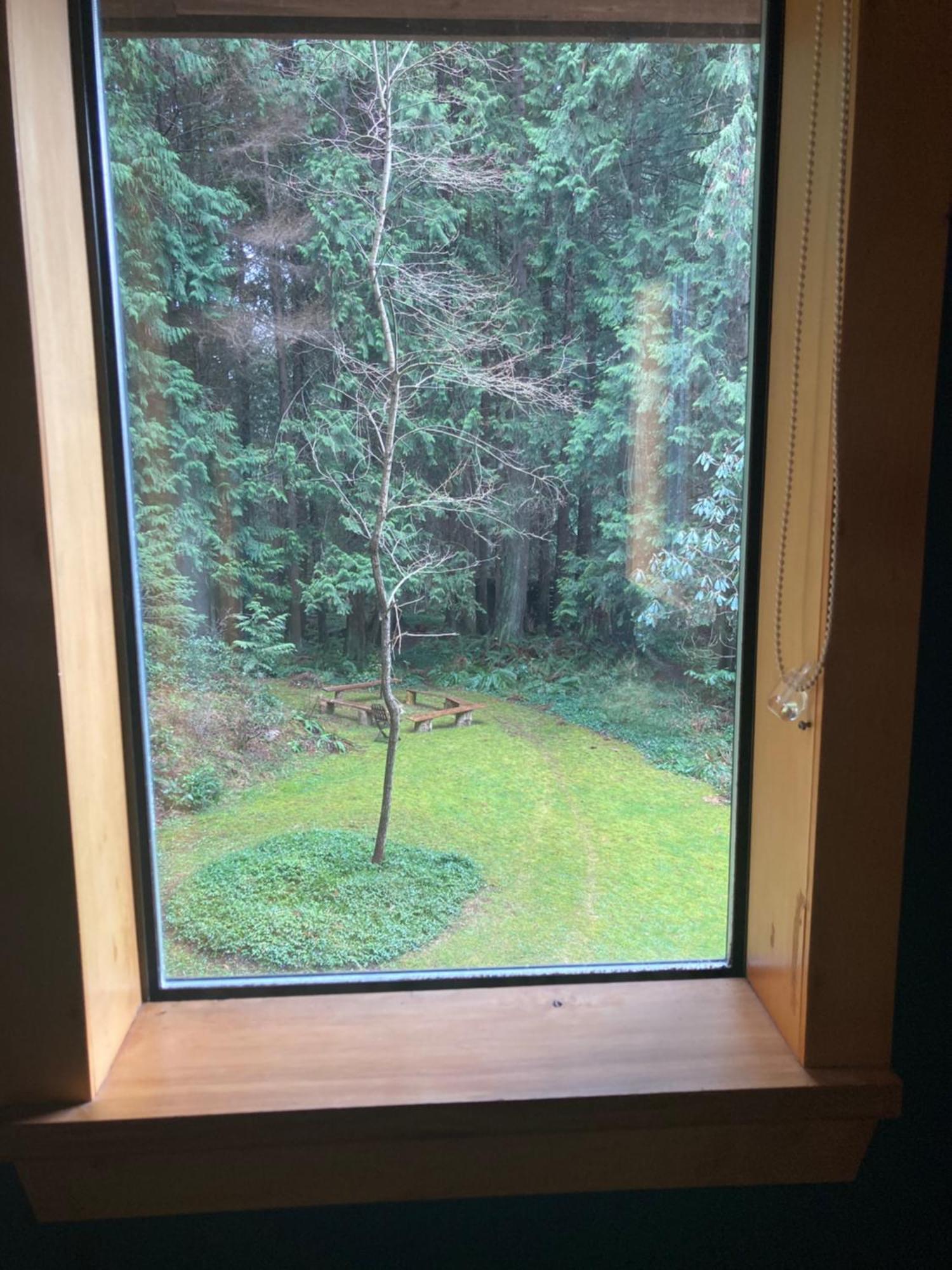Roberts Creek Forest Haven Hideaway المظهر الخارجي الصورة